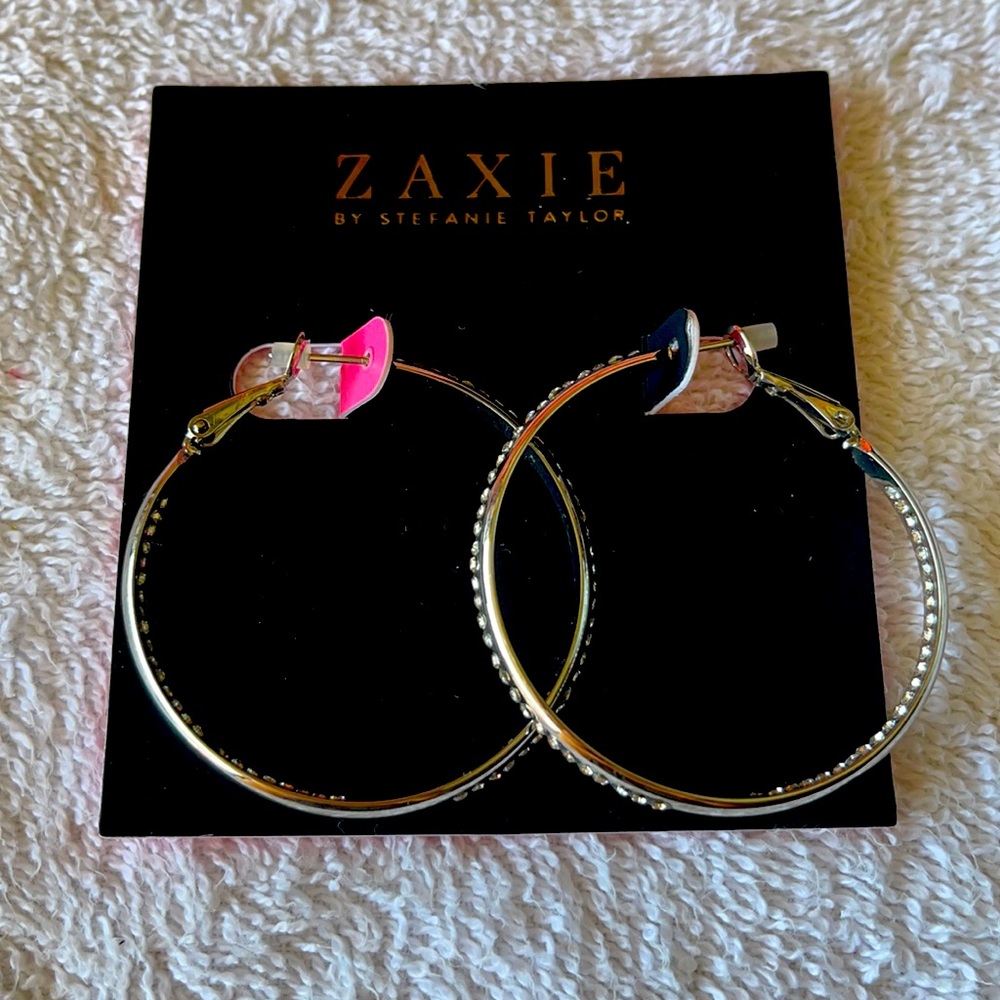 Gorgeous Silver Hoop Earrings